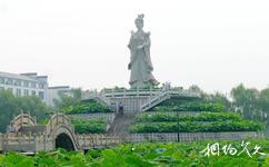 淄博文昌湖旅游攻略之荷花生态园