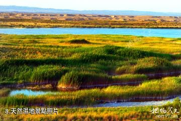 敦煌西湖國家級自然保護區-天然濕地照片