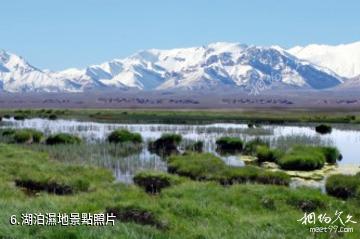 甘肅鹽池灣國家級自然保護區-湖泊濕地照片