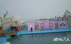 青島極地海洋世界旅遊攻略之歡樂劇場