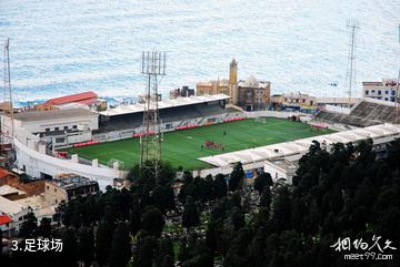 阿尔及利亚阿尔及尔市-足球场照片