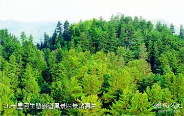 鶴崗國家森林公園-十里河生態旅遊風景區照片