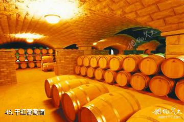 忻州市定襄凤凰山景区-干红葡萄酒照片
