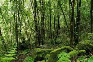 歐洲葡萄牙豐沙爾旅遊攻略-豐沙爾景點排行榜