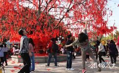 广州莲花山旅游攻略之许愿树