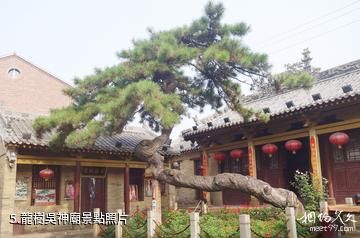 澤州大陽古鎮-龍樹吳神廟照片