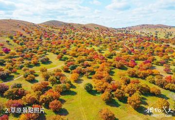 興安盟五角楓生態旅遊景區-草原照片