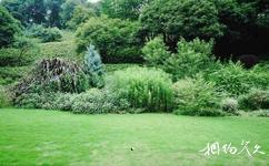 重慶江北鴻恩寺公園旅遊攻略之桂憩綠野