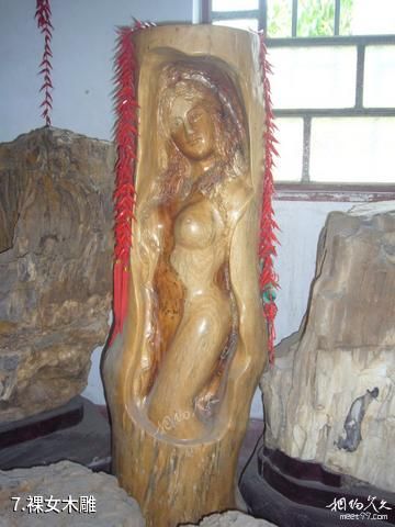 山东马山国家级自然保护区-裸女木雕照片