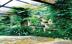 中科院華南植物園旅遊攻略之葯園