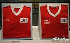 首尔世界杯体育场旅游攻略之老版韩国队球衣