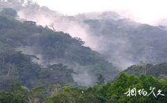海南吊罗山国家森林公园旅游攻略之热带雨林