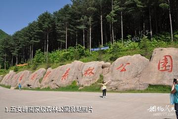 五女峰國家級森林公園照片