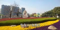 白天鹅公园驴友相册