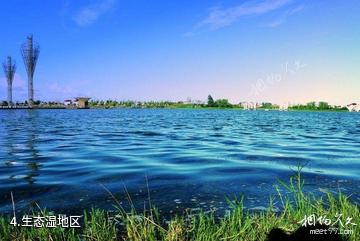 海安七星湖生态园-生态湿地区照片