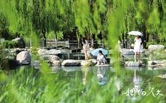 临汾市汾河公园旅游攻略之夏景