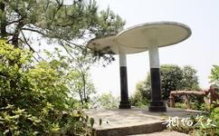 武冈云山国家森林公园旅游攻略之蘑菇亭