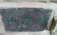 常州杨桥古镇旅游攻略之南杨桥石碑