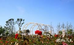 锦州世界园林博览会旅游攻略之风景庭院