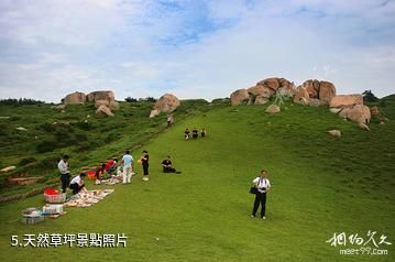 浙江南麂列島海洋國家級自然保護區-天然草坪照片