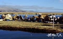 玻利維亞的的喀喀湖旅遊攻略之浮動小島