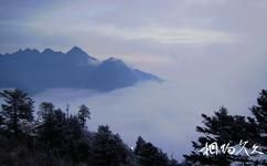 金華九峰山旅遊攻略之九峰雲海