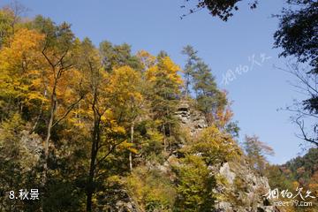 安康化龙山国家级自然保护区-秋景照片