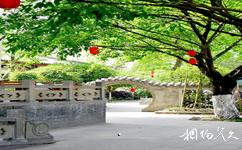 成都郫县三道堰古镇旅游攻略之景色