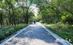 徐州泉山森林公园旅游攻略之公园