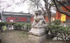北京報國寺旅遊攻略之石獅