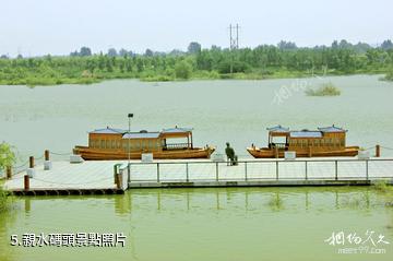 西安灞橋生態濕地公園-親水碼頭照片