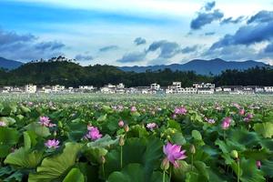 江西撫州廣昌旅遊攻略-廣昌縣景點排行榜