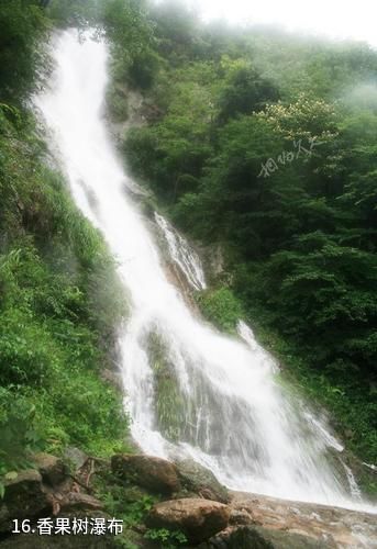 安徽万佛山国家森林公园-香果树瀑布照片