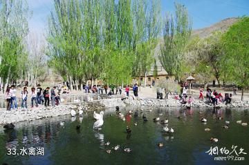 新疆天山野生动物园-水禽湖照片