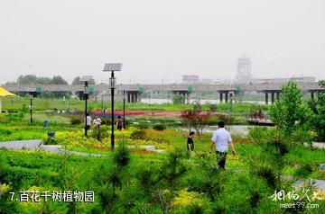 西安灞桥生态湿地公园-百花千树植物园照片