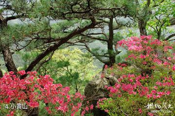 信阳市黄柏山国家森林公园-小黄山照片