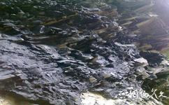 湖南壺瓶山國家級自然保護區旅遊攻略之地質風貌