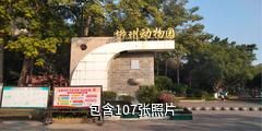 柳州动物园驴友相册