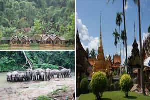 雲南西雙版納旅遊攻略-西雙版納傣族自治州景點排行榜