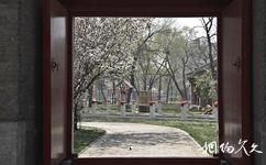 天津庄王府旅游攻略之花园