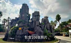 文昌椰子大观园驴友相册
