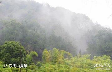 杭州东明山森林公园-东明山夏景照片