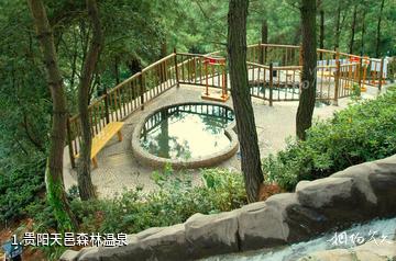 贵阳天邑森林温泉照片