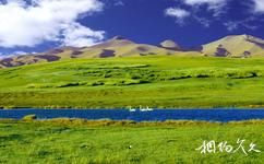 新疆巴音布鲁克天鹅湖旅游攻略之高山牧场