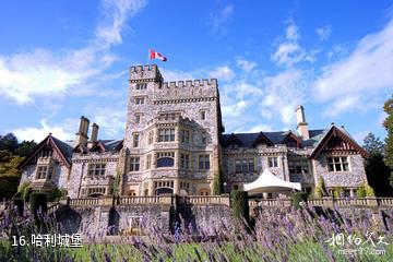 加拿大维多利亚市-哈利城堡照片