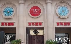 上海同樂坊旅遊攻略之寶馬國際娛樂連鎖