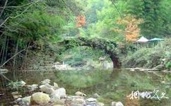 九龙山国家森林公园旅游攻略之清代北伸石桥