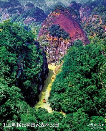 三明格氏栲国家森林公园照片