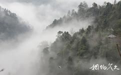广西花坪国家级自然保护区旅游攻略之雾锁花坪