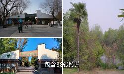 合肥植物園驢友相冊